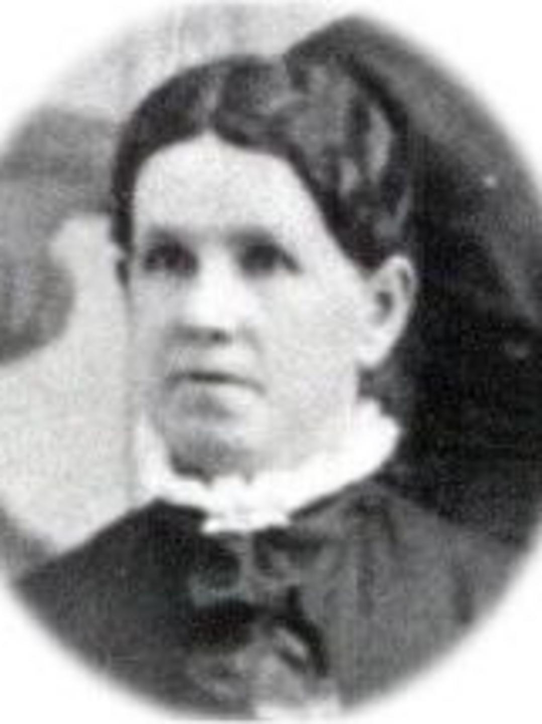 Elizabeth David (1830 - 1890) Profile